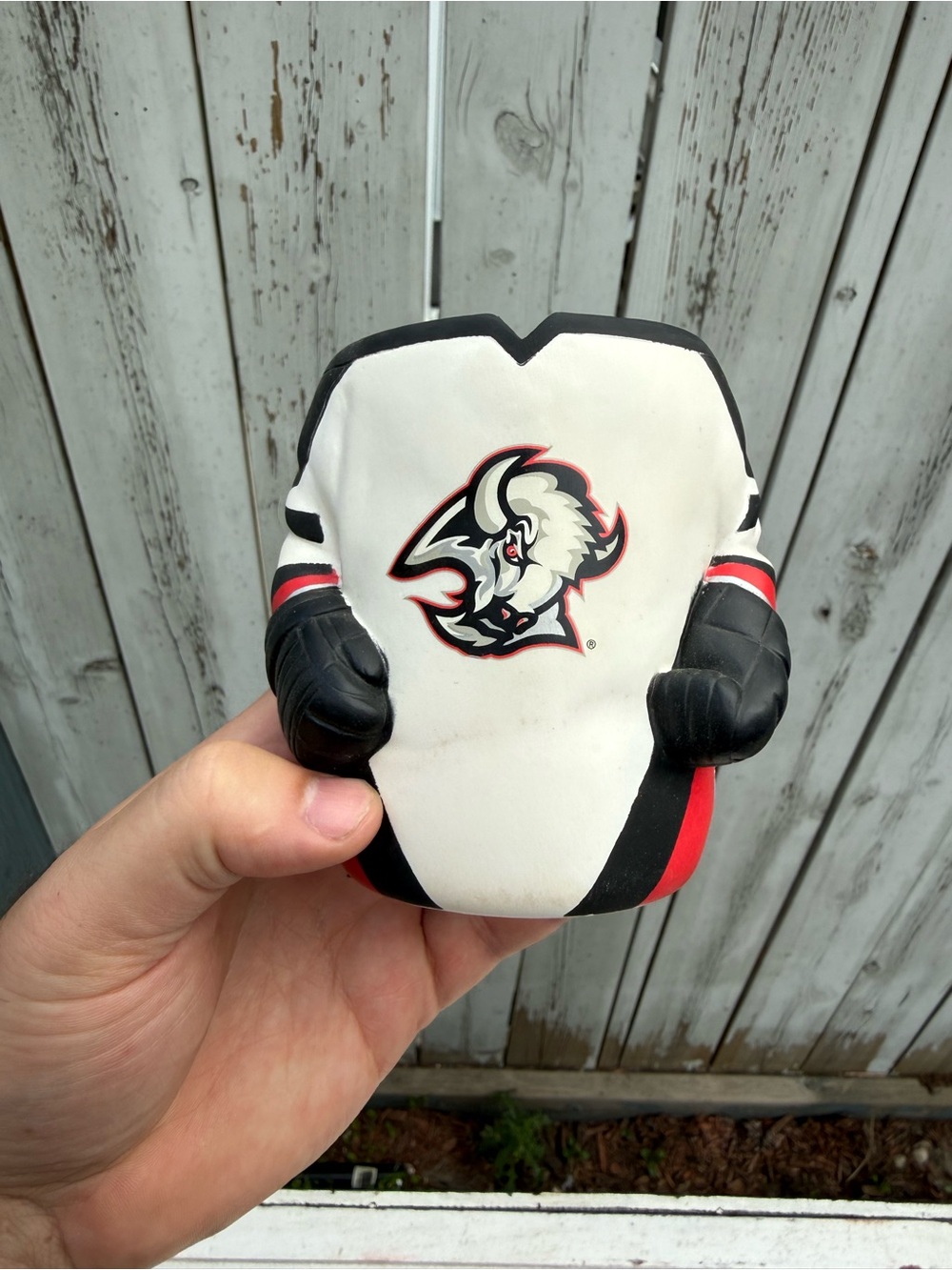 🌻 3/$12 Buffalo Sabres Koozie